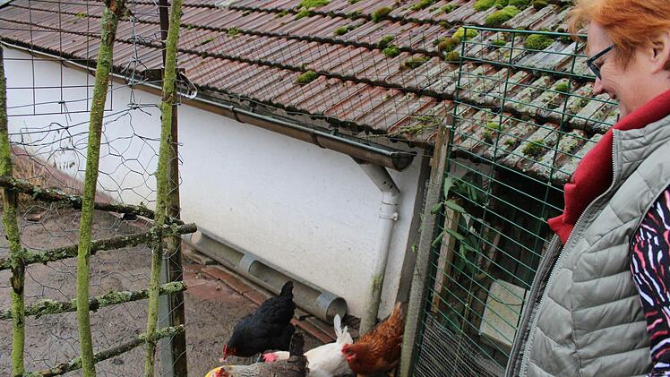Die H&uuml;hner wissen genau, wann Barbara Laschka ihnen Fr&uuml;hst&uuml;ck bringt und warten dann am Eingang ihres Geheges. Foto: Cindy D&ouml;tschel