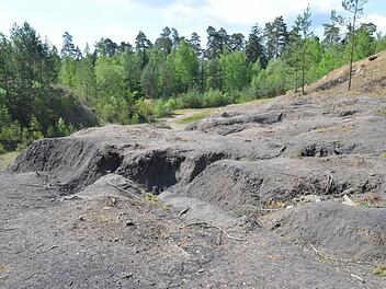 Seltene Tier- und Pflanzenarten sind auf solche Standorte wie die offene Tongrube bei Sonnefeld angewiesen. Fotos: Rainer Lutz