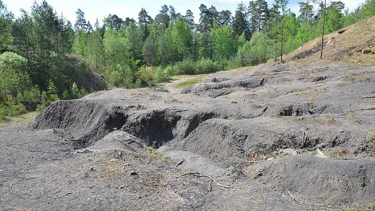 Seltene Tier- und Pflanzenarten sind auf solche Standorte wie die offene Tongrube bei Sonnefeld angewiesen. Fotos: Rainer Lutz