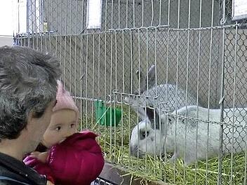 Auch f&uuml;r die kleinen Besucher war die Lokalschau des Kleintierzuchtvereins Reckendorf ein besonderes Ereignis. Foto: Christian Licha