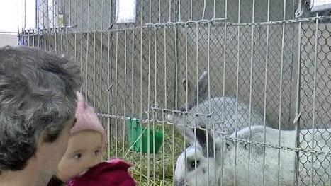 Auch f&uuml;r die kleinen Besucher war die Lokalschau des Kleintierzuchtvereins Reckendorf ein besonderes Ereignis. Foto: Christian Licha