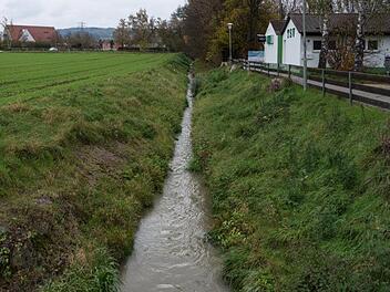 Der Brandbach am Sportgelände des TSV Neunkirchen Foto: Petra Malbrich