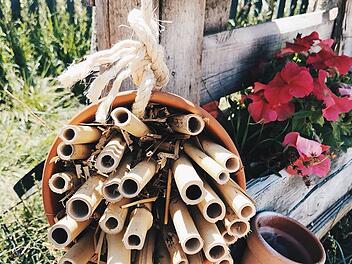 DIY Insektenhotel