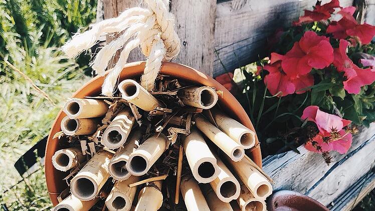 DIY Insektenhotel
