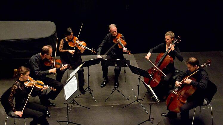 Ein Streichsextett aus Mitgliedern der Bamberger Symphoniker beeindruckte beim Gastspiel in Coburg. Foto: Jochen Berger