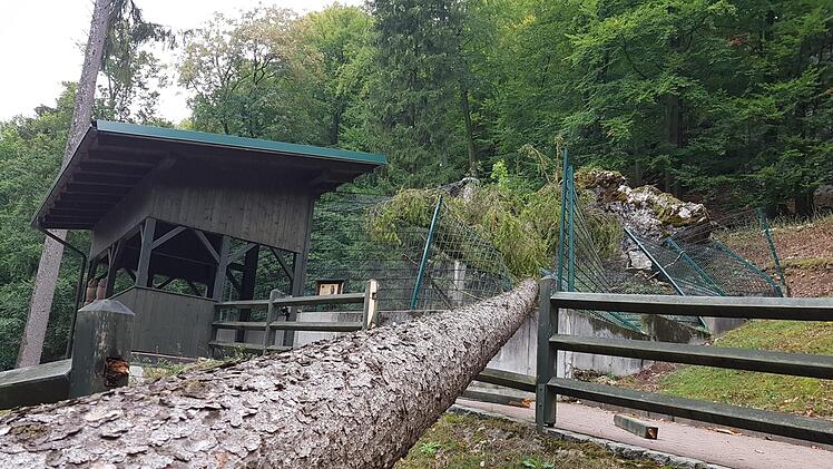 Die zerstörte Uhu-Voliere im Wildpark Hundshaupten  Foto: Landratsamt Forchheim