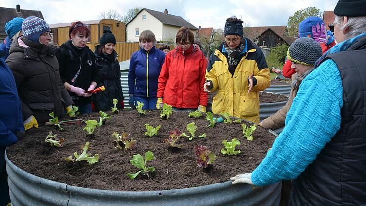Praxisstunde für Gartenbau im Hausgarten Foto: Dagmar Besand