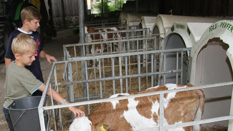 Auf dem Bauernhof der Familie Münch sieht man noch Landwirtschaft, wie sie sein sollte: Louis und Elias streicheln die Kälbchen. Foto: Sonny Adam
