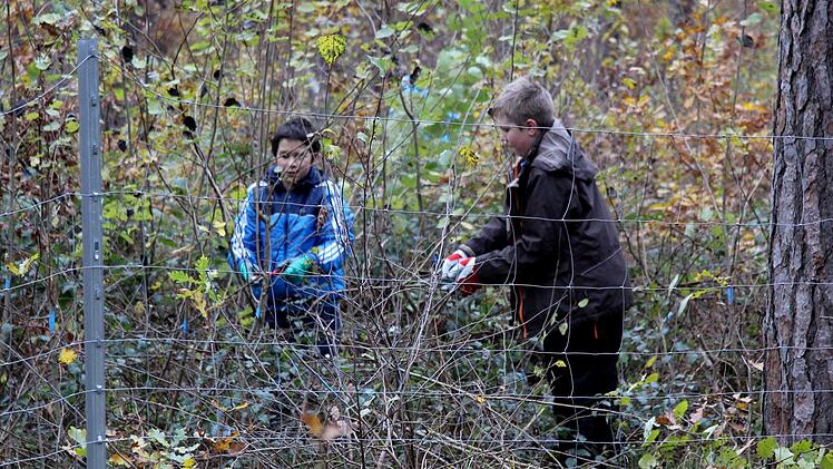 Realschüler bei der Waldarbeit Richard Sänger