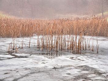 Wie machst du deinen Gartenteich winterfest?