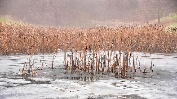 Wie machst du deinen Gartenteich winterfest?
