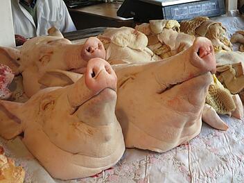 Schweineköpfe