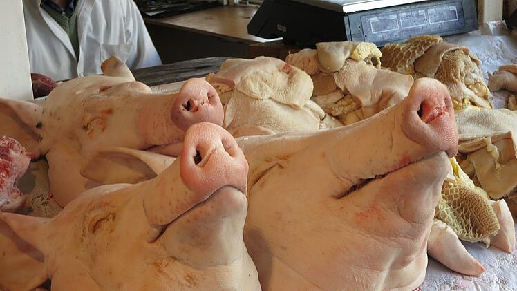 Schweineköpfe