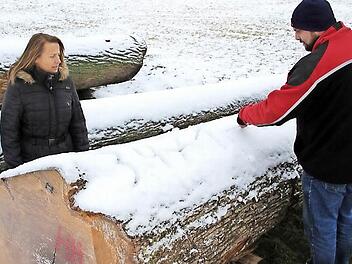 3471 Euro bekommt Graf zu Ortenburg aus Birkenfeld für diese Eiche, wie Birgitt Ulrich und Förster Christian Mehlhorn von der Forstbetriebsgemeinschaft zeigen. Foto: Ralf Kestel