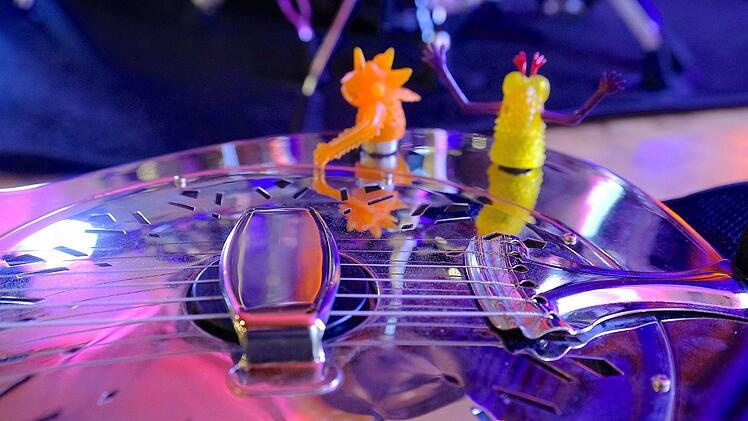 Die Steel-Gitarre wartete auf ihren Einsatz. Foto: Gerd Schaar