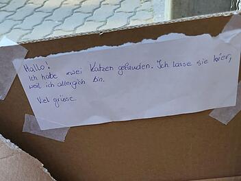Zettel im Karton mit dem Hinweis auf zwei Katzen