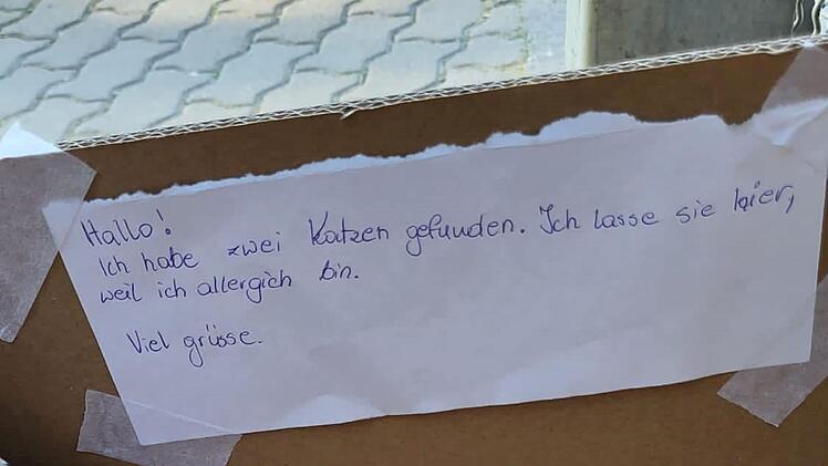 Zettel im Karton mit dem Hinweis auf zwei Katzen