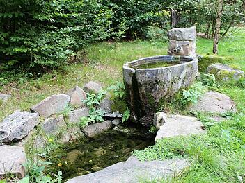 "Lolas Badewanne", die Pferdetränke vor der Jagdhütte auf dem Berg Hohe Kammer bei Motten. Foto: Julia Raab