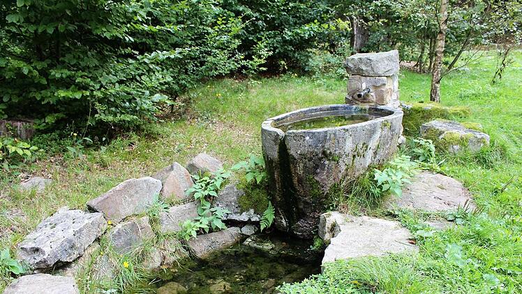 "Lolas Badewanne", die Pferdetränke vor der Jagdhütte auf dem Berg Hohe Kammer bei Motten. Foto: Julia Raab