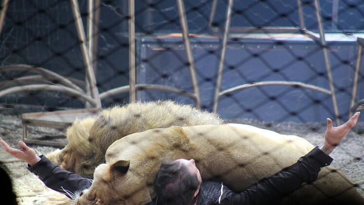 Coburg: Circus Krone feiert Premiere - Tierschützer kündigen Protestaktion an