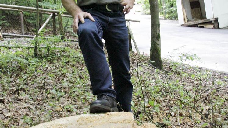 Stadtrat Günther Hammer überzeugt sich, dass der Stamm krank war.