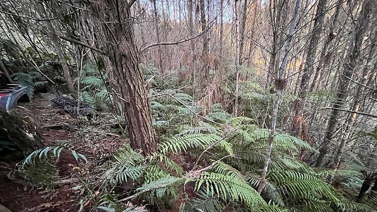 Untergetauchter Vater in Neuseeland erschossen