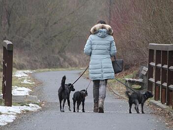 Symbolbild: Ulrike Müller