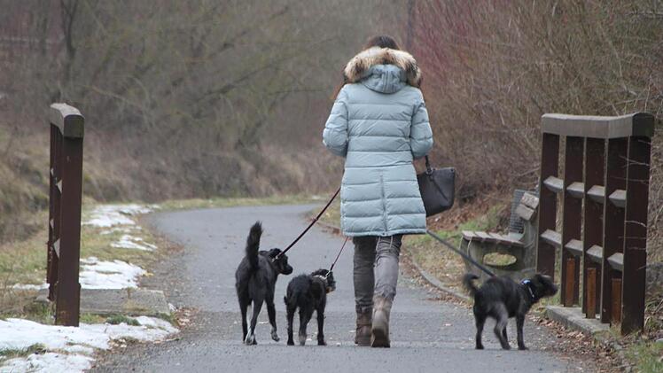 Symbolbild: Ulrike Müller