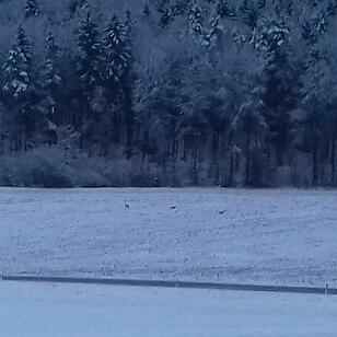 Leserbilder: Der erste Schnee in Franken