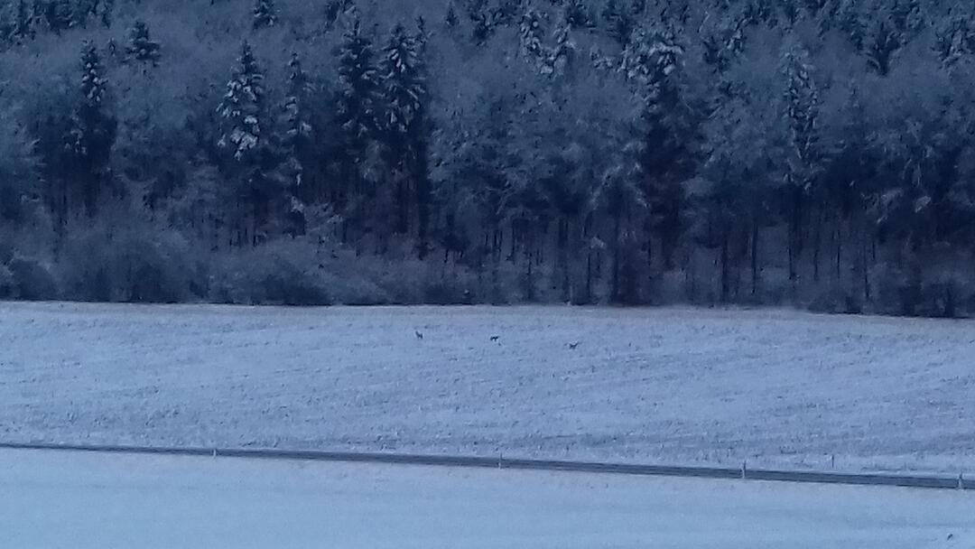 Leserbilder: Der erste Schnee in Franken