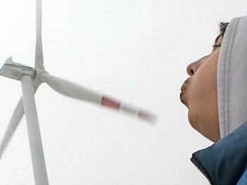 Pusteblume - nix wird's mit Windrädern auf dem Tonberg zwischen Ebern und Kirchlauter. Foto: Archiv