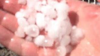 Diese Körner trafen Nordhalben. Foto: Udo Simon