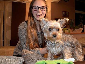 Hundedame Maja mit ihrem Frauchen Anna-Lena im Wohnzimmer der Familie. Ausflüge ins Freie sind noch tabu, denn der Yorkshire-Terrier muss noch vollständig von der Vergiftung genesen. Foto: Kathrin Kupka-Hahn