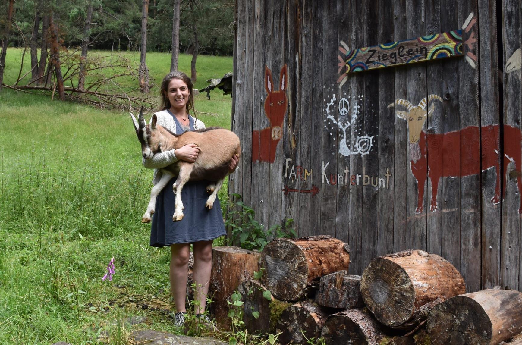 Tiere Sind Ihr Leben Auf Der Alm
