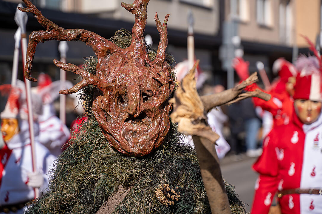 Fasching 2025 in Nürnberg!