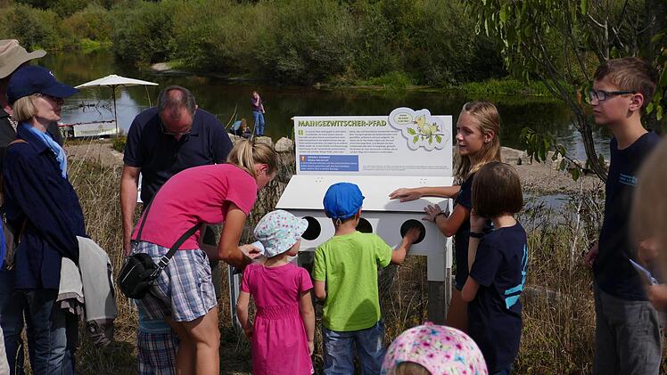 An dieser Station des "Maingezwitscherpfads" erfühlten Kinder unter der Betreuung des Jugend-Teams (drei Jugendliche rechts) um Anette Hohl unterschiedliche Gesteine des Flusses: den glatten Quarzit, den gefurchten Lydit und den rauhen Sandstein.Foto: Anton Reinhardt