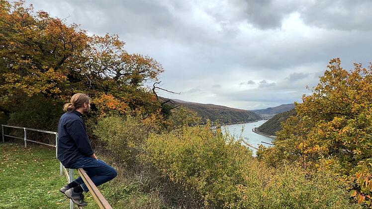 Nutzungsstatistik 2024 - Männergewaltschutz-Einrichtungen