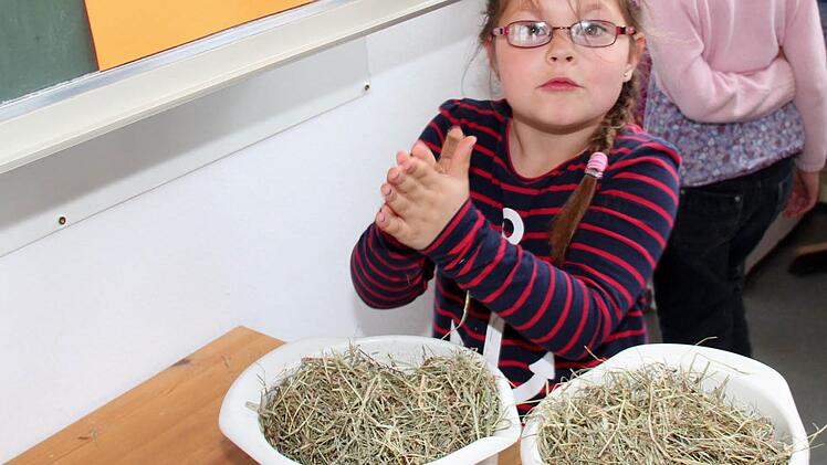 Sophie sucht die Büroklammer im Heu.