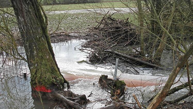 ... sorgen dafür, dass sich die Lauer nicht staut.  Fotos: Wasserwirtschaftsamt (2)