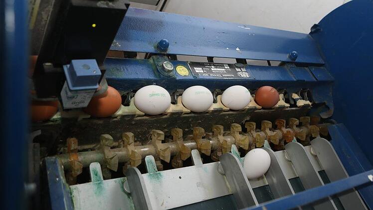Hier werden die Eier nach gewicht sortiert. Foto: Barbara Herbst