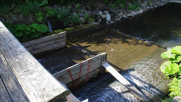 An der Wilden Rodach. Foto: Marco Meißner