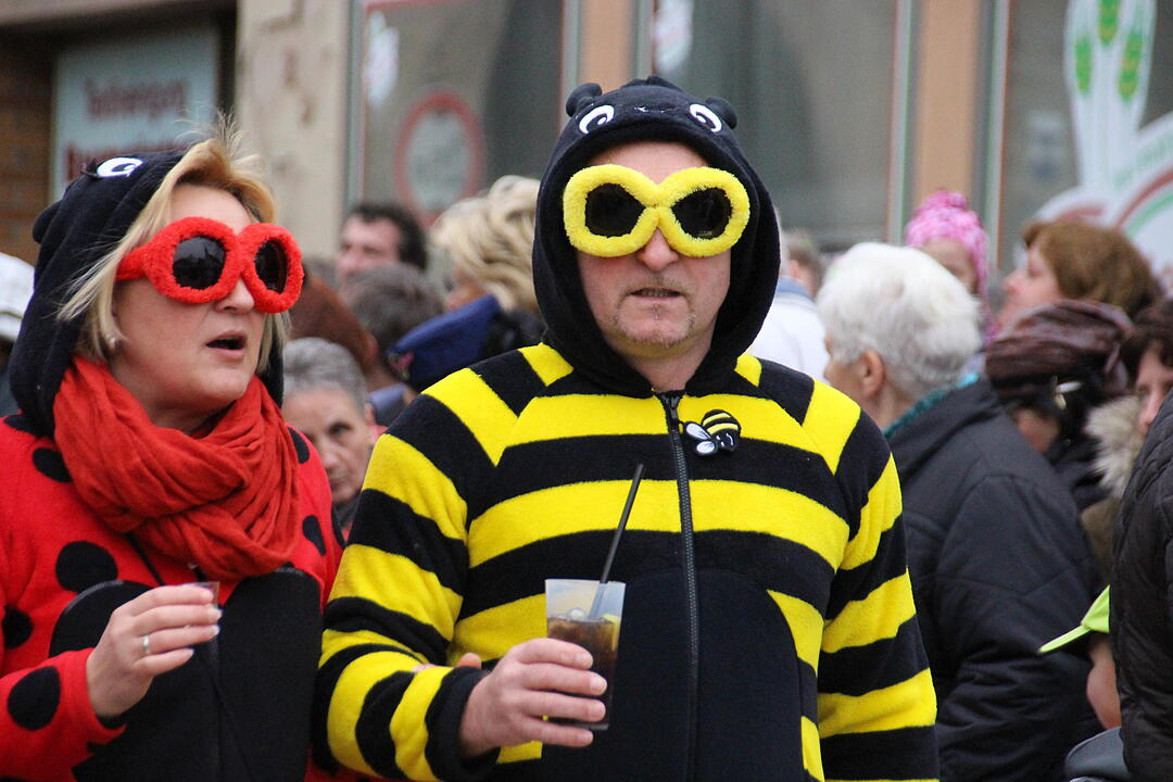 Landkreisfaschingsumzug