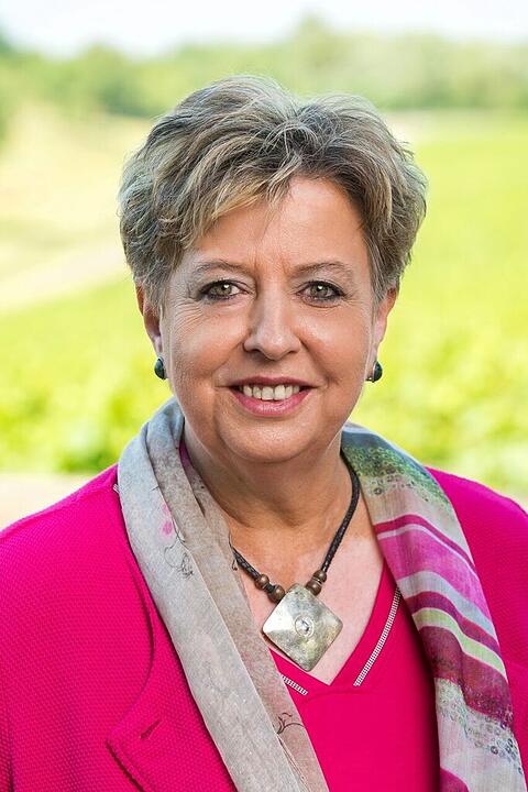 Direktkandidaten Bezirkstag