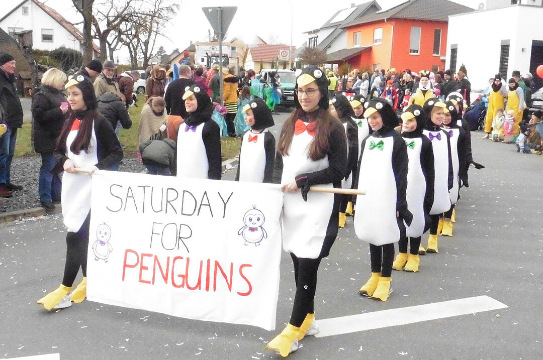 Faschingsumzug in Oberhaid