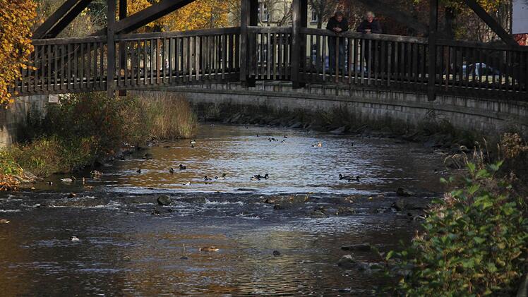 Foto: Friedwald Schedel
