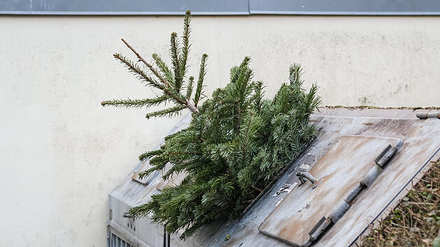 Weihnachtsbaum entsorgen oder wiederverwenden: Das kannst du mit deinem Christbaum noch machen