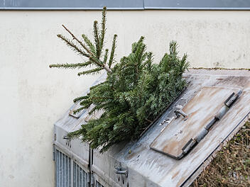 Weihnachtsbaum entsorgen oder wiederverwenden: Das kannst du mit deinem Christbaum noch machen