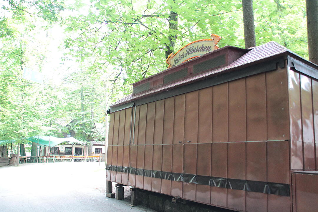 Aufbau im Kellerwald