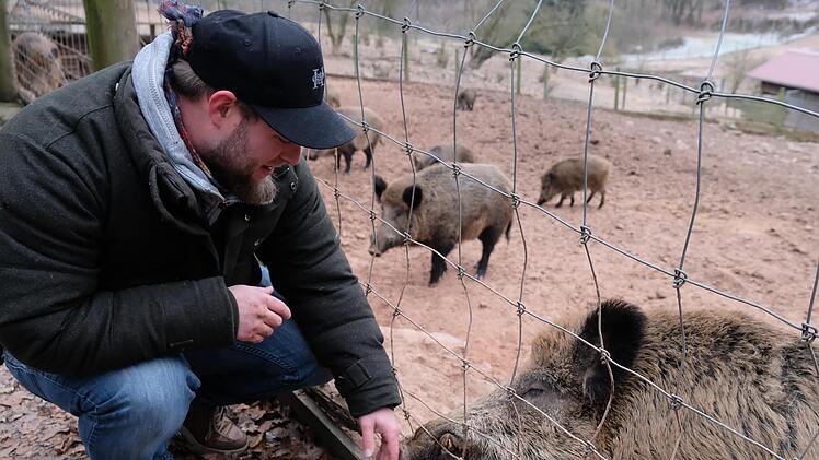 Das letzte Mal hat Tobias Wallrapp Odin im vergangenen Jahr im Wildpark Heigenbrücken  gesehen.
