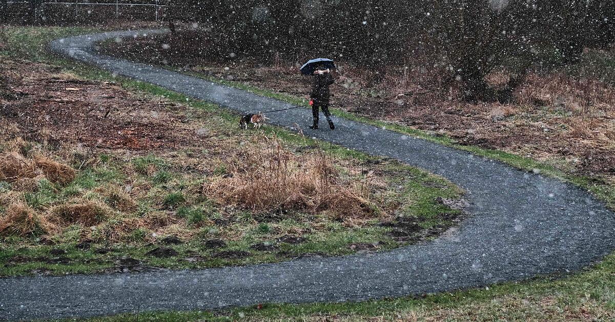 Wetter-in-Franken-Frost-Nebel-und-Neuschnee-samt-Gl-ttegefahr
